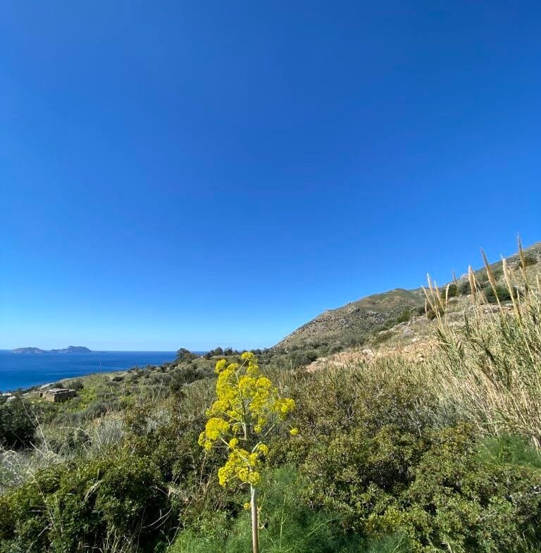 Plot of 4.068,16 square meters on the way to Agios Georgios.