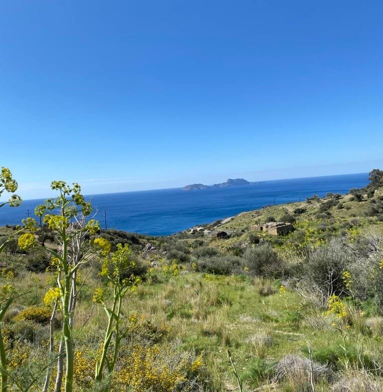 Plot of 4.068,16 square meters on the way to Agios Georgios.