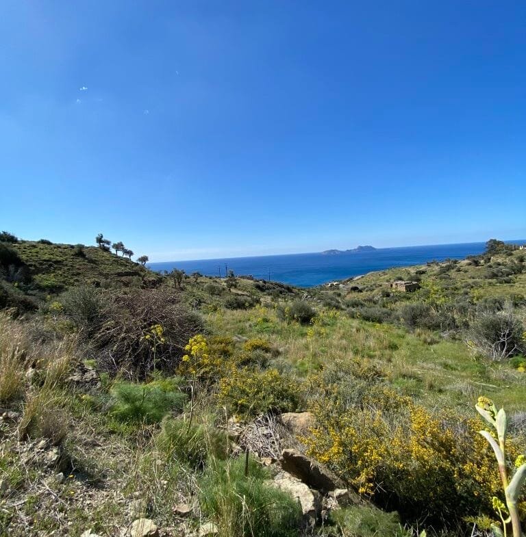 Plot of 4.068,16 square meters on the way to Agios Georgios.