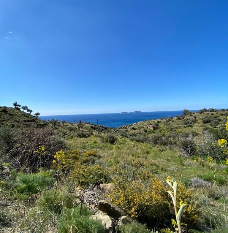 Plot of 4.068,16 square meters on the way to Agios Georgios.