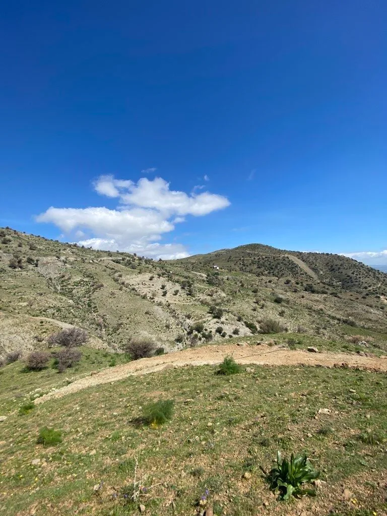 Plot of 5.582,43 sq.m. in the area of Melampes.