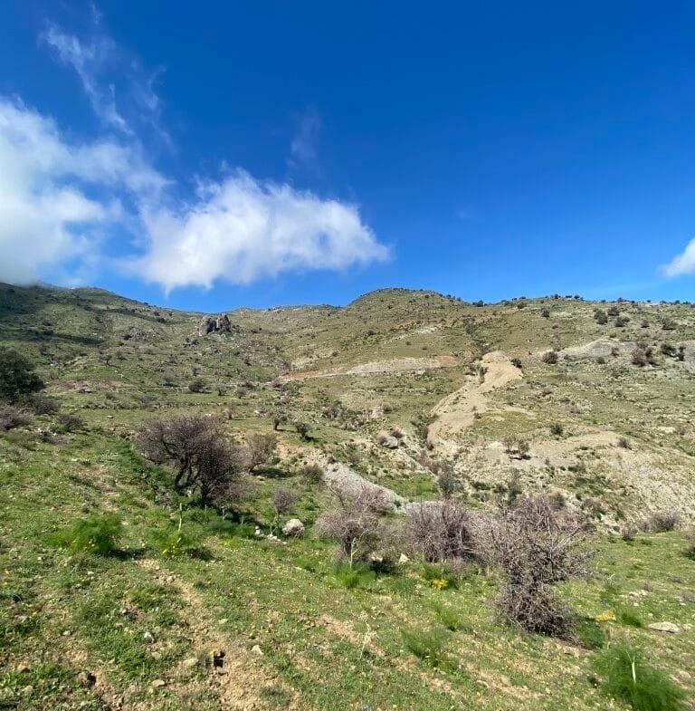 Plot of 5.582,43 sq.m. in the area of Melampes.