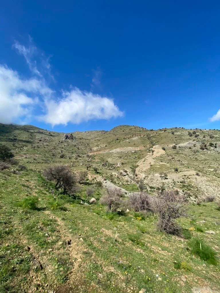Plot of 5.582,43 sq.m. in the area of Melampes.