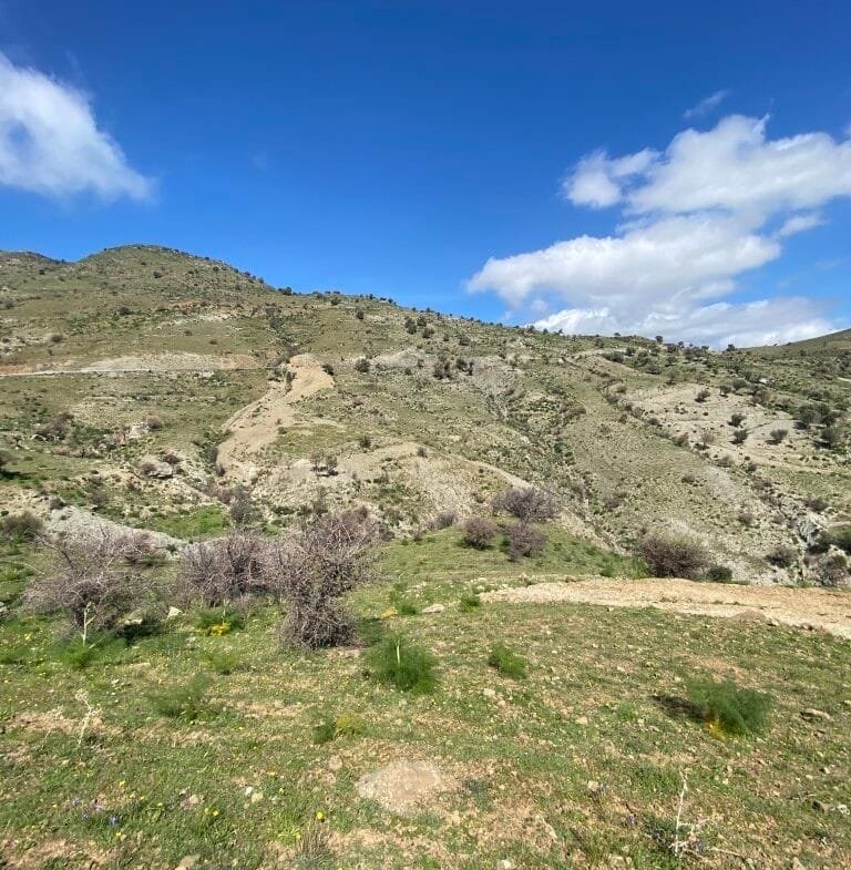 Plot of 5.582,43 sq.m. in the area of Melampes.