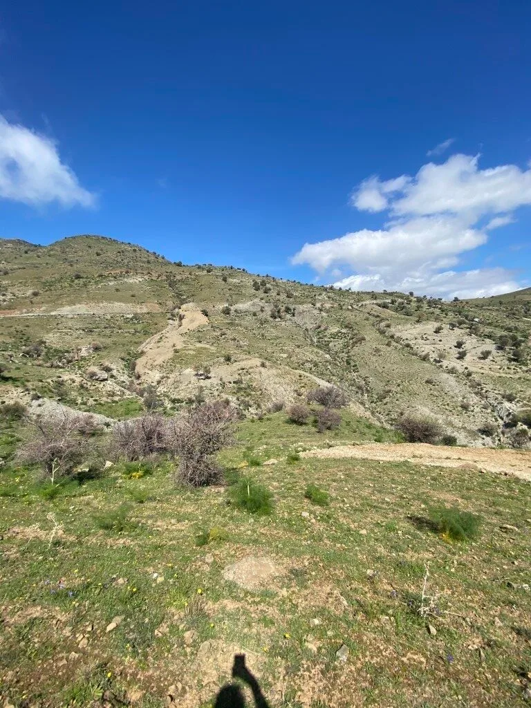 Plot of 5.582,43 sq.m. in the area of Melampes.