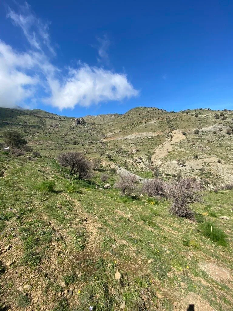 Plot of 5.582,43 sq.m. in the area of Melampes.