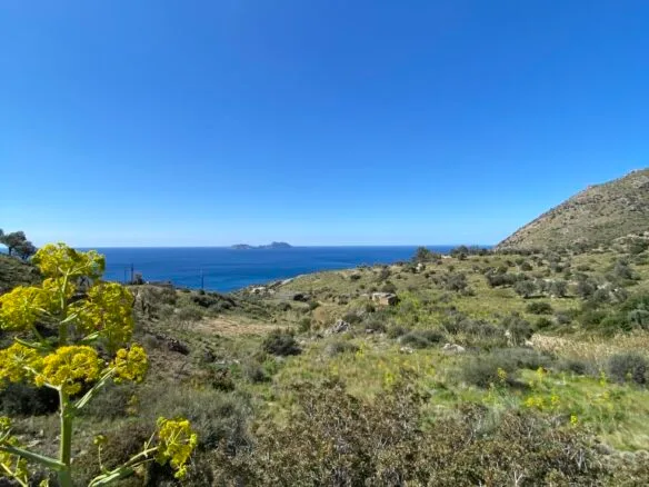 Plot of 4.068,16 square meters on the way to Agios Georgios.