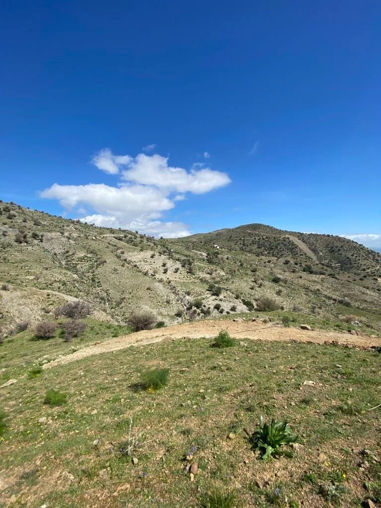 Plot of 5.582,43 sq.m. in the area of Melampes.