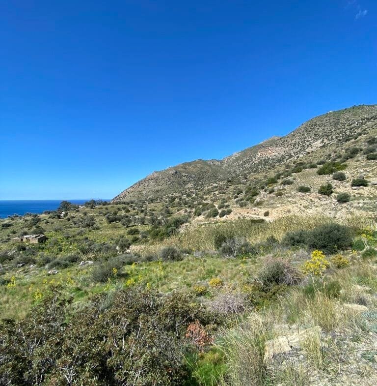 Plot of 4.068,16 square meters on the way to Agios Georgios.