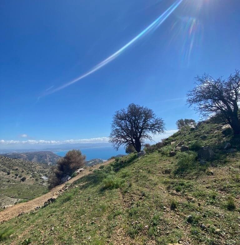 Plot of 5.582,43 sq.m. in the area of Melampes.