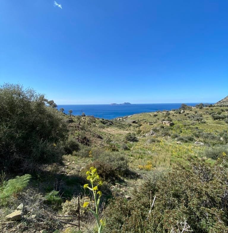 Plot of 4.068,16 square meters on the way to Agios Georgios.