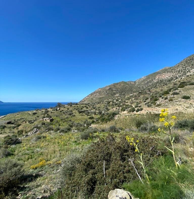 Plot of 4.068,16 square meters on the way to Agios Georgios.