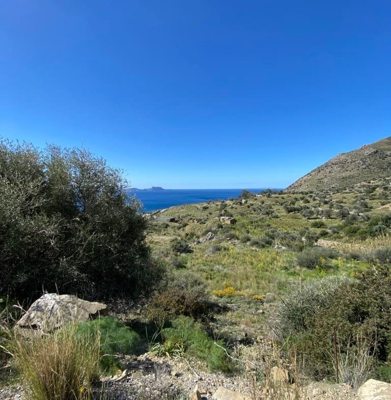 Plot of 4.068,16 square meters on the way to Agios Georgios.