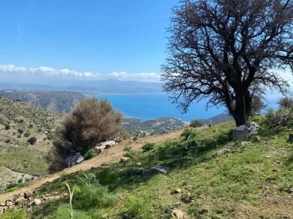 Plot of 5.582,43 sq.m. in the area of Melampes.