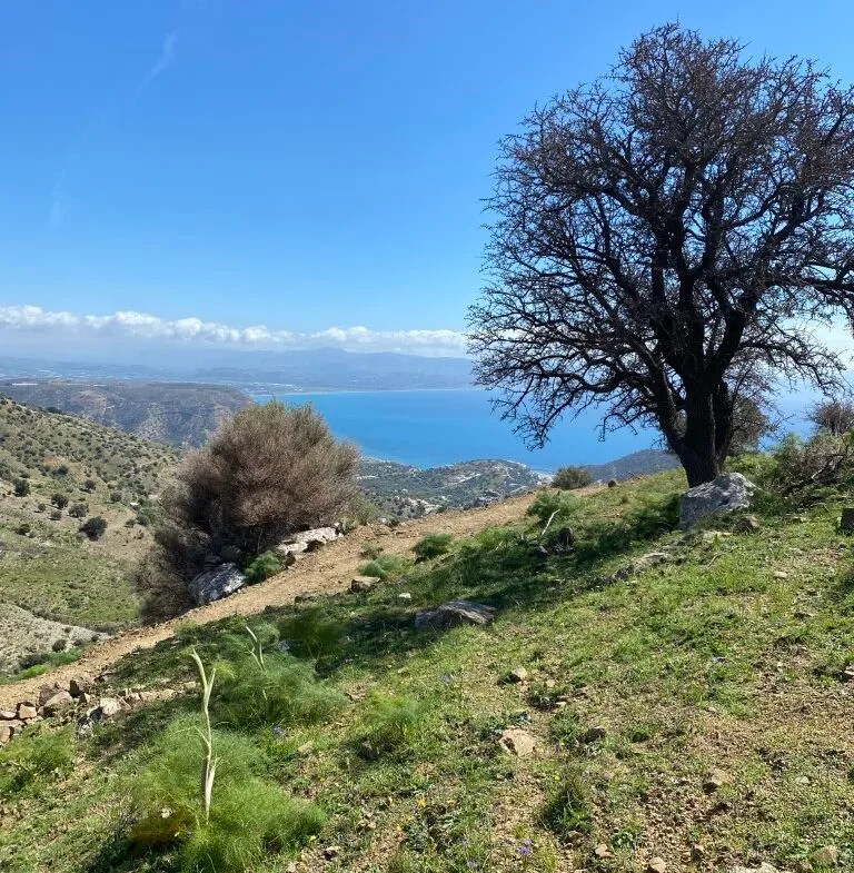 Plot of 5.582,43 sq.m. in the area of Melampes.