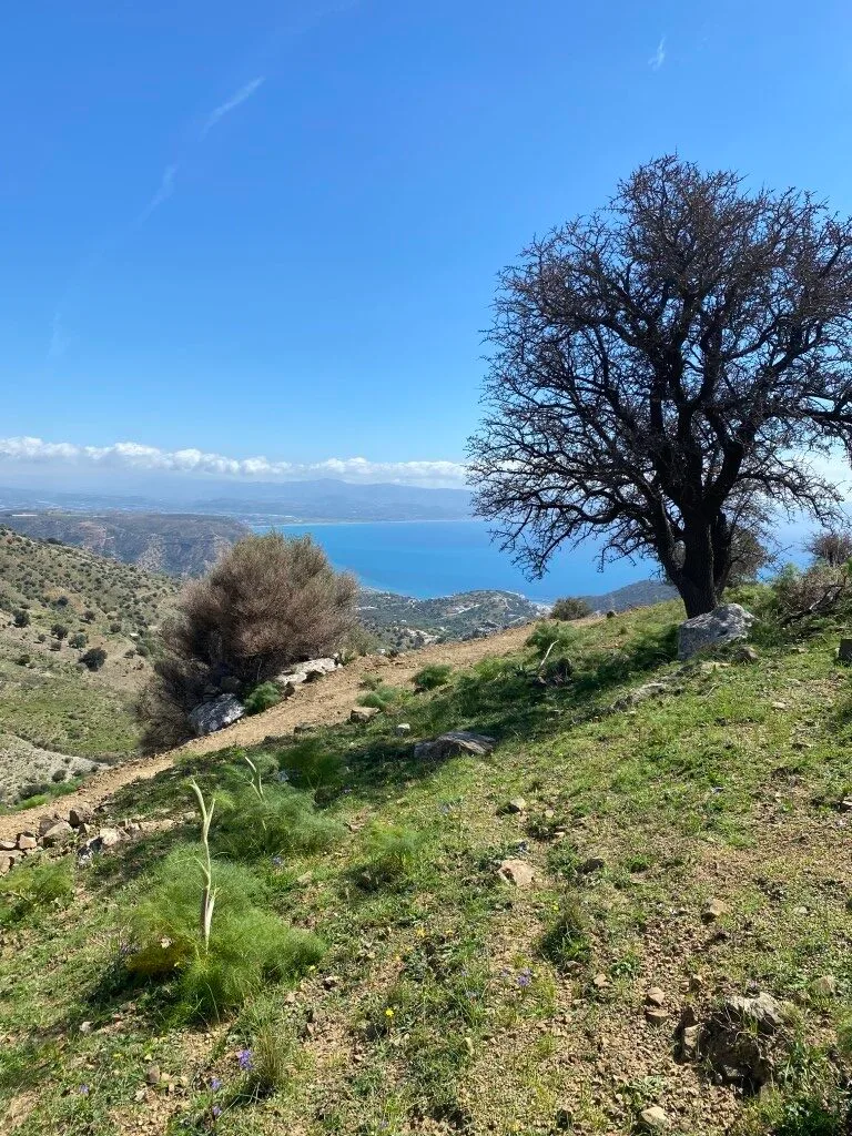 Plot of 5.582,43 sq.m. in the area of Melampes.