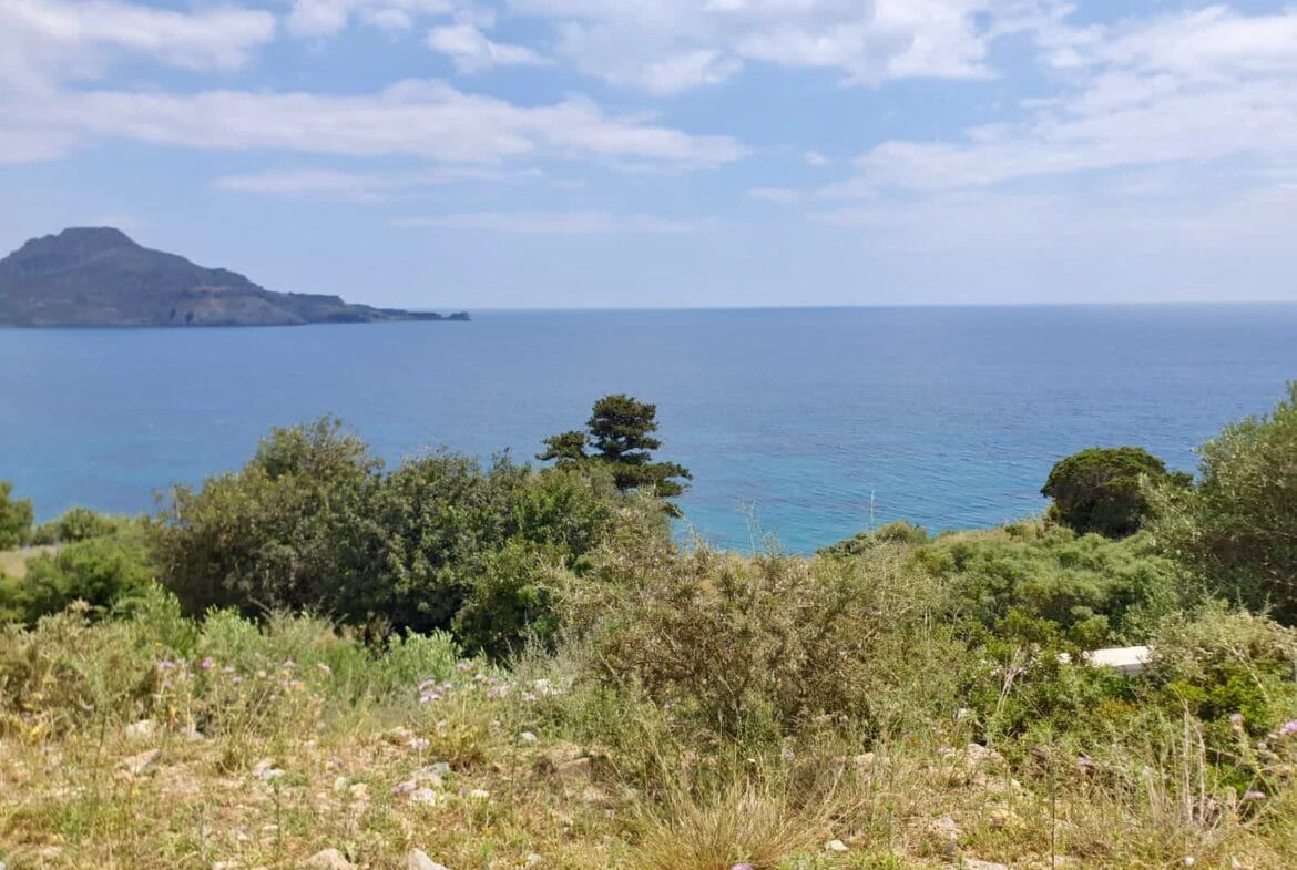 Seaview plot in Sellia.