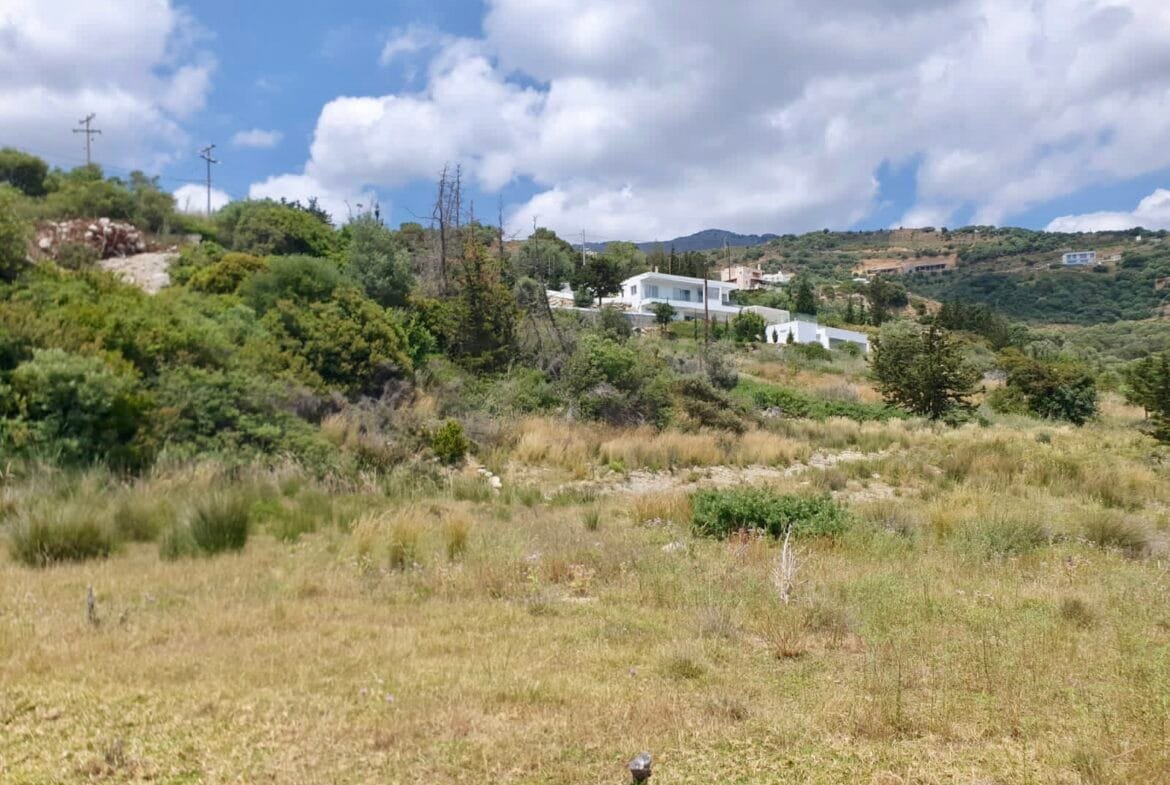 Seaview plot in Sellia.