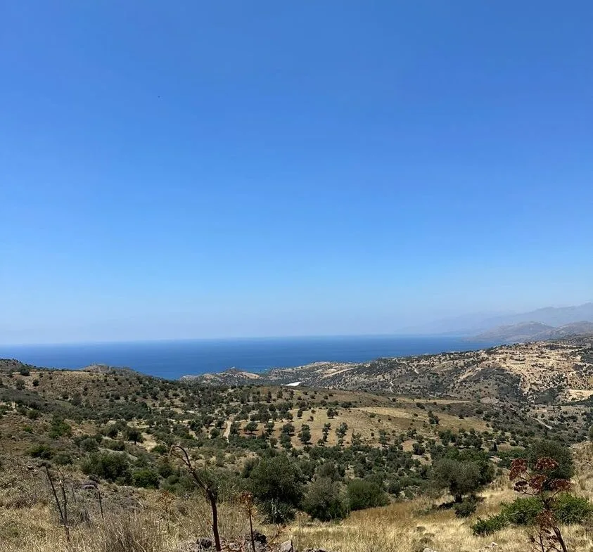 Land plot of 20.100 square meters in Agios Pavlos.