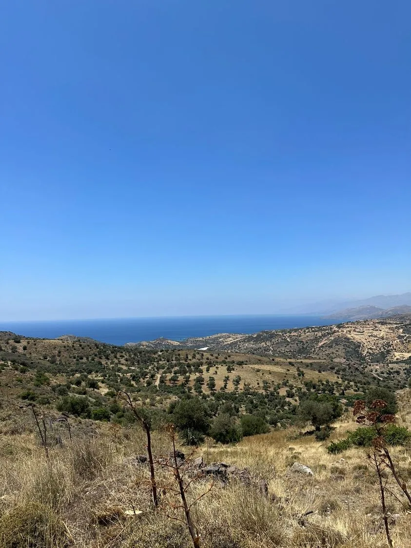 Land plot of 20.100 square meters in Agios Pavlos.