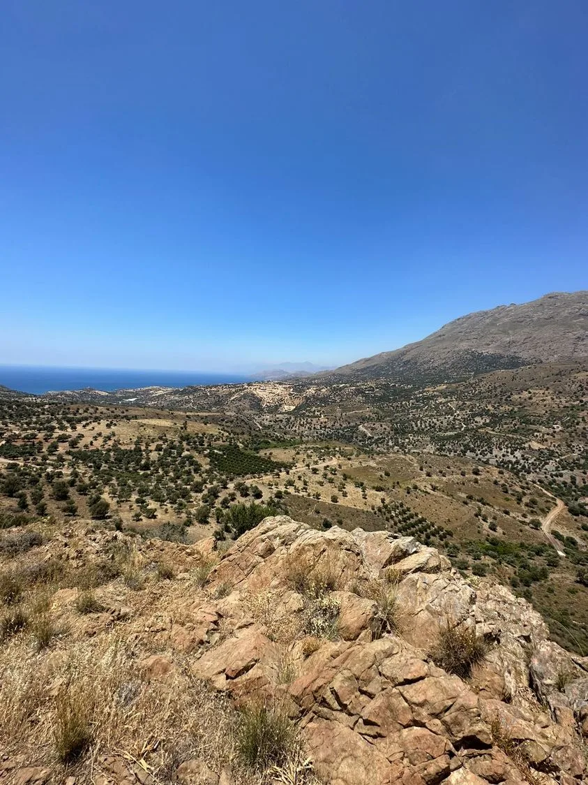 Land plot of 20.100 square meters in Agios Pavlos.