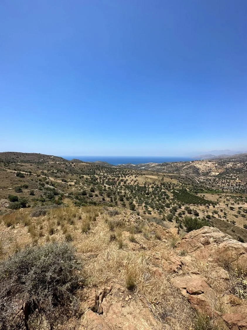 Land plot of 20.100 square meters in Agios Pavlos.