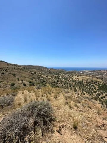 Land plot of 20.100 square meters in Agios Pavlos.