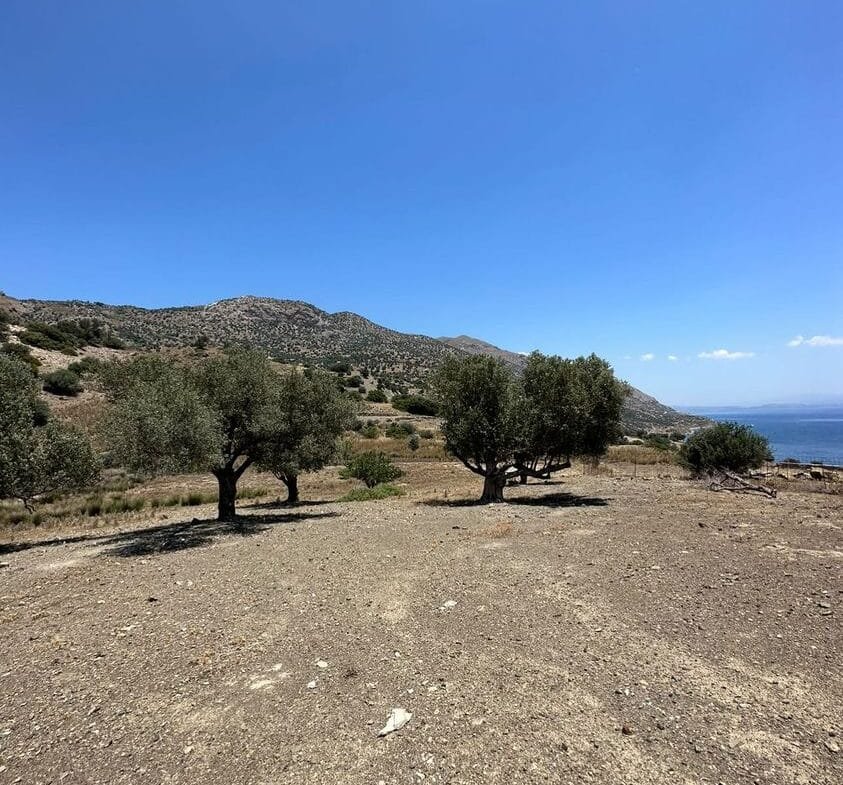 Plot of 4.136,52 square meters in Prasonisi.