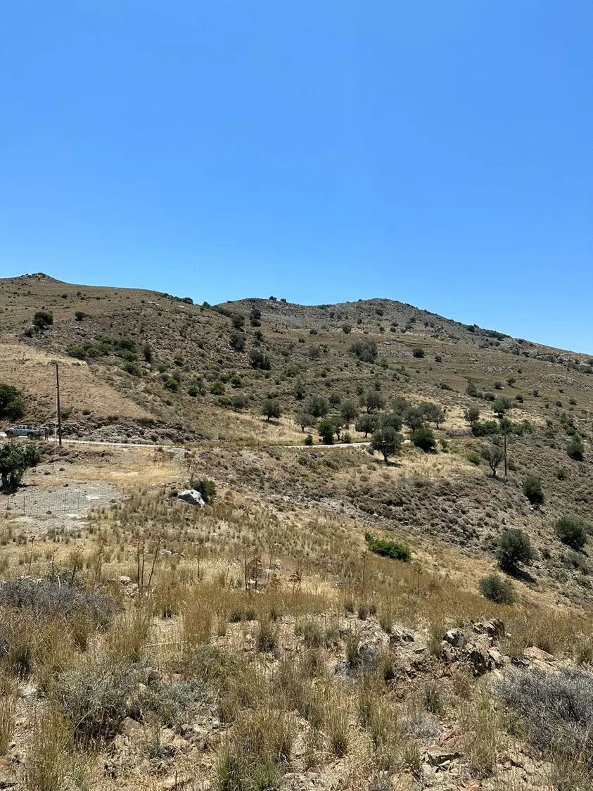 Land plot of 20.100 square meters in Agios Pavlos.