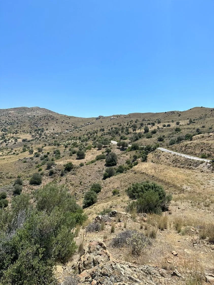 Land plot of 20.100 square meters in Agios Pavlos.