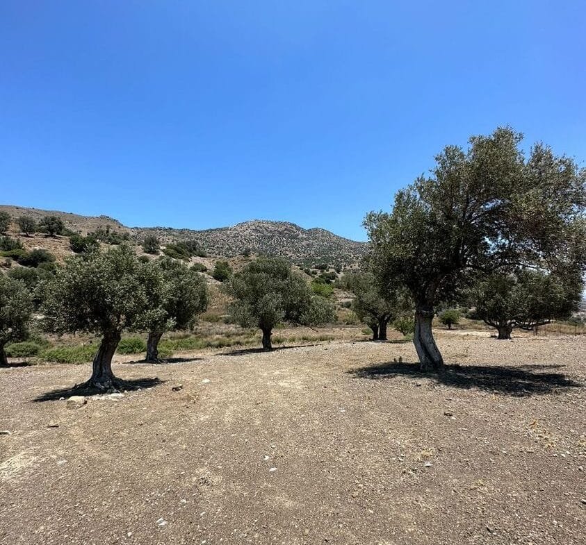 Plot of 4.136,52 square meters in Prasonisi.