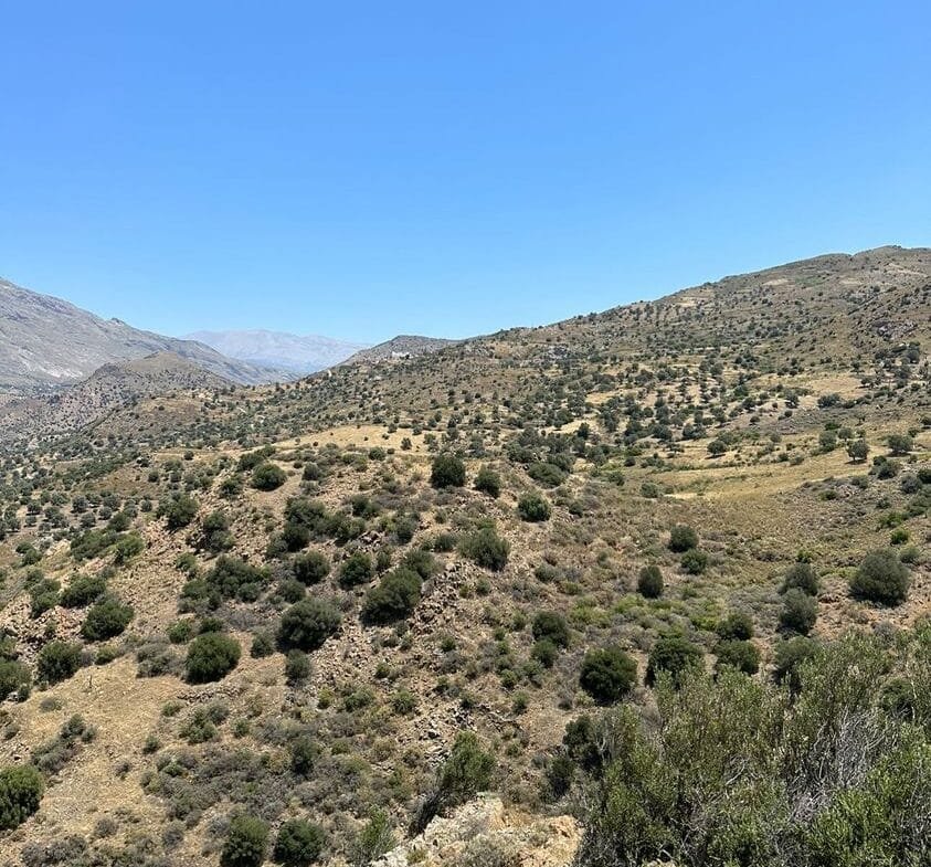 Land plot of 20.100 square meters in Agios Pavlos.