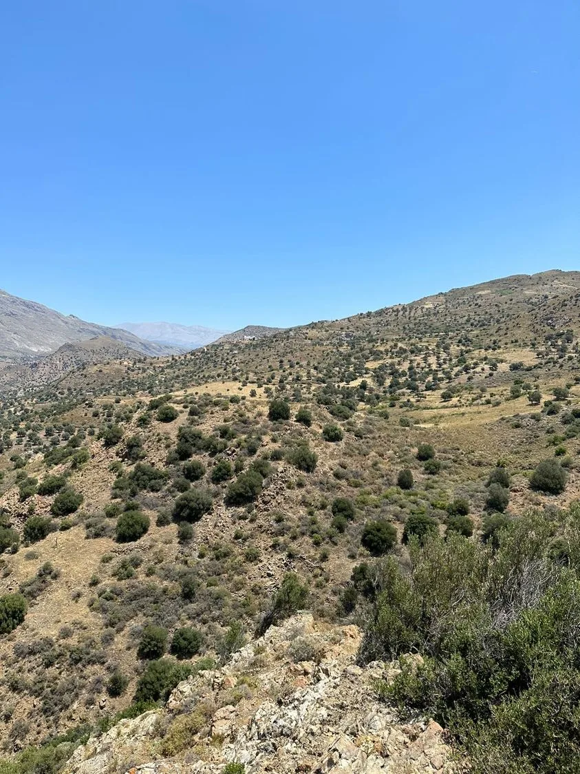 Land plot of 20.100 square meters in Agios Pavlos.