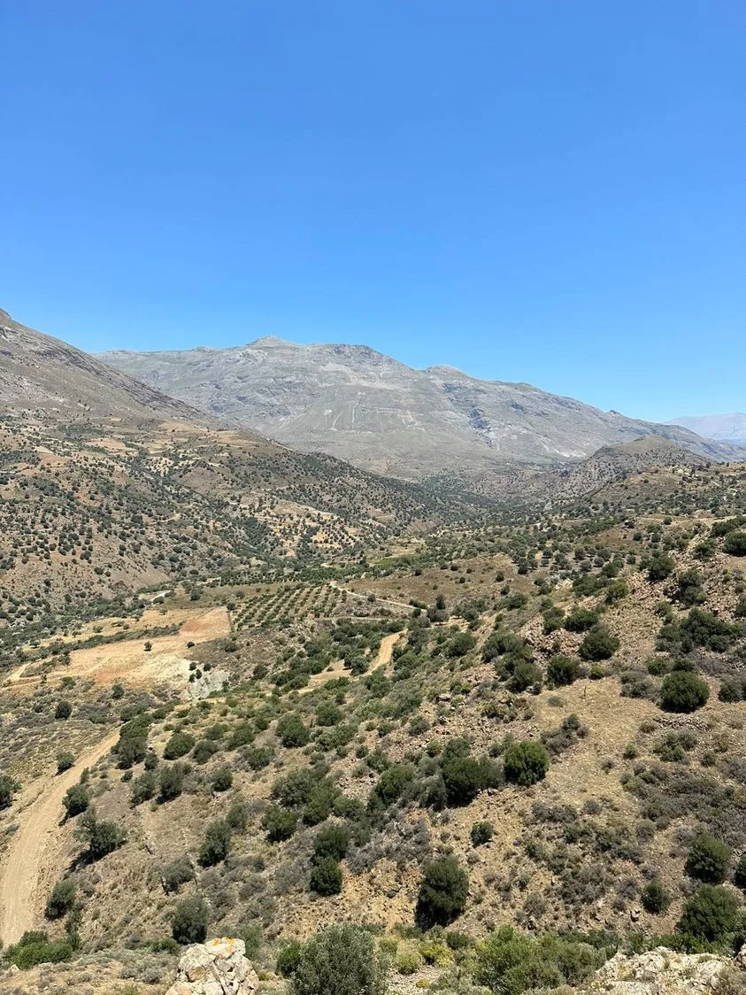 Land plot of 20.100 square meters in Agios Pavlos.