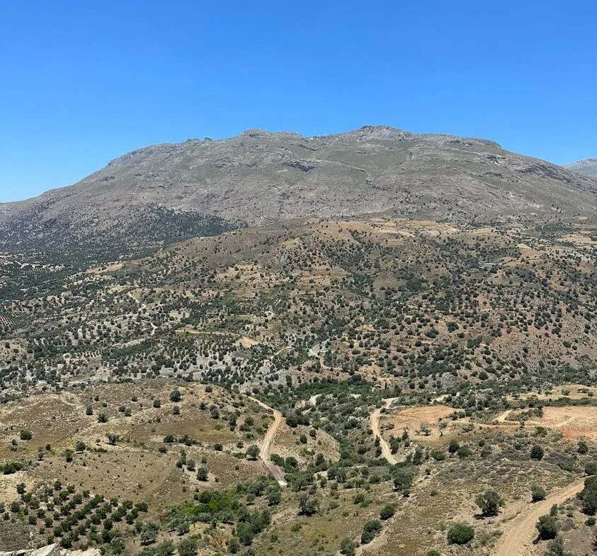 Land plot of 20.100 square meters in Agios Pavlos.