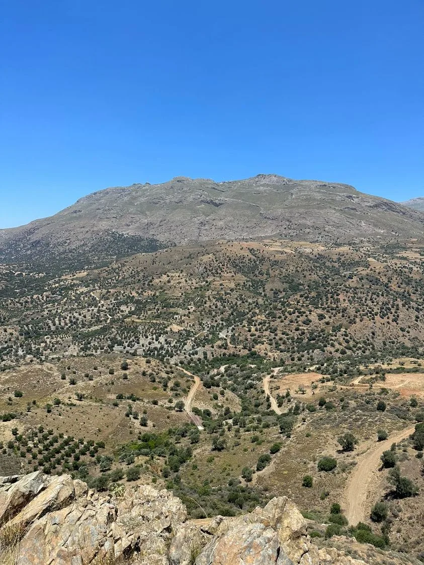 Land plot of 20.100 square meters in Agios Pavlos.