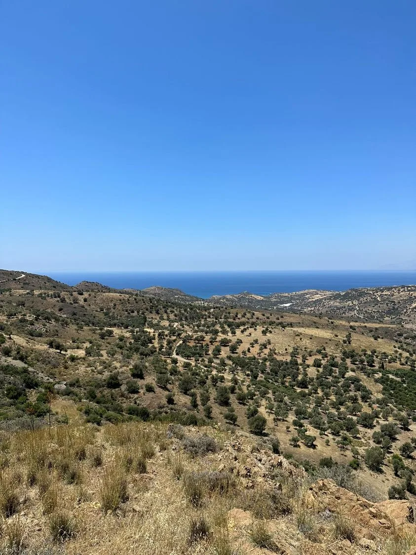 Land plot of 20.100 square meters in Agios Pavlos.