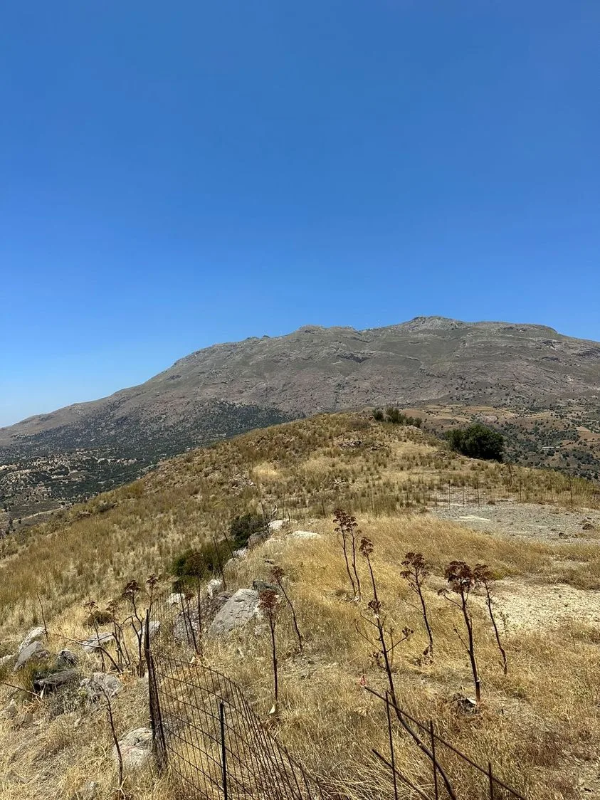 Land plot of 20.100 square meters in Agios Pavlos.