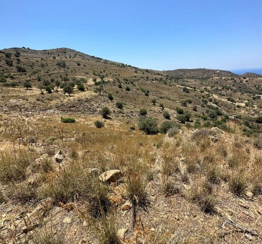 Land plot of 20.100 square meters in Agios Pavlos.