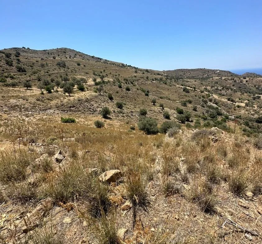 Land plot of 20.100 square meters in Agios Pavlos.