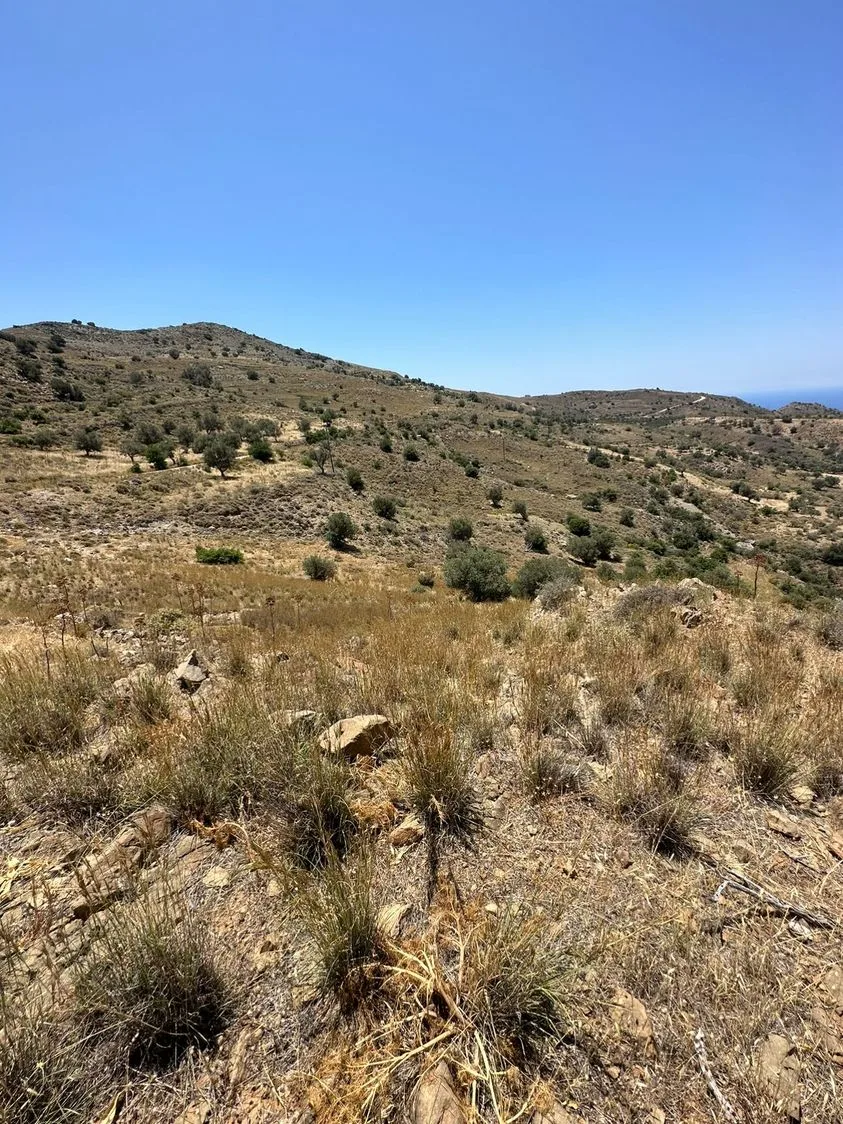 Land plot of 20.100 square meters in Agios Pavlos.