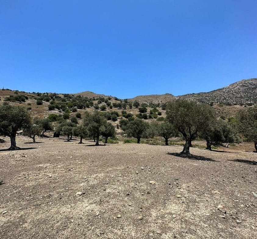 Plot of 4.136,52 square meters in Prasonisi.