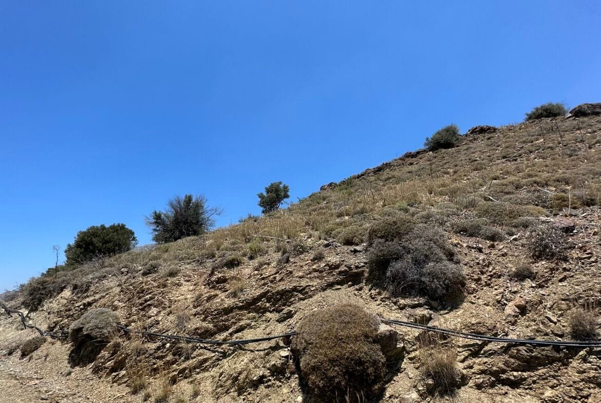 Plot of 5.000 sqm above Agios Pavlos.