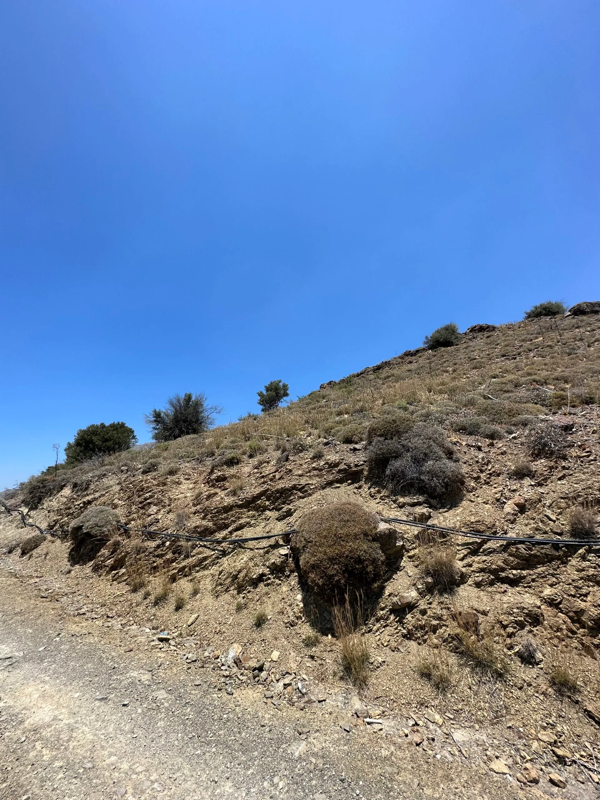 Plot of 5.000 sqm above Agios Pavlos.
