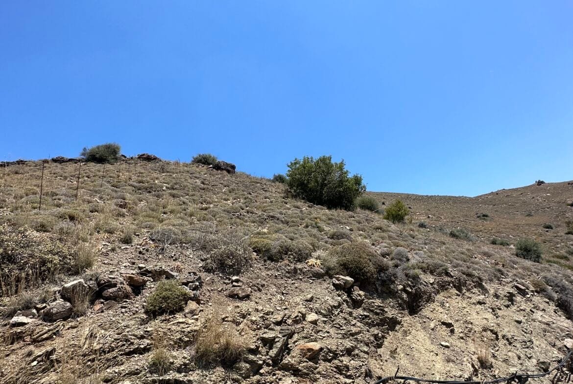 Plot of 5.000 sqm above Agios Pavlos.