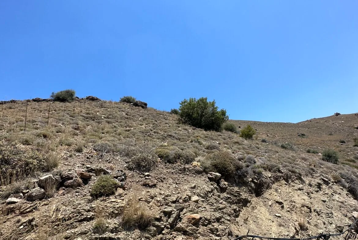 Plot of 5.000 sqm above Agios Pavlos.