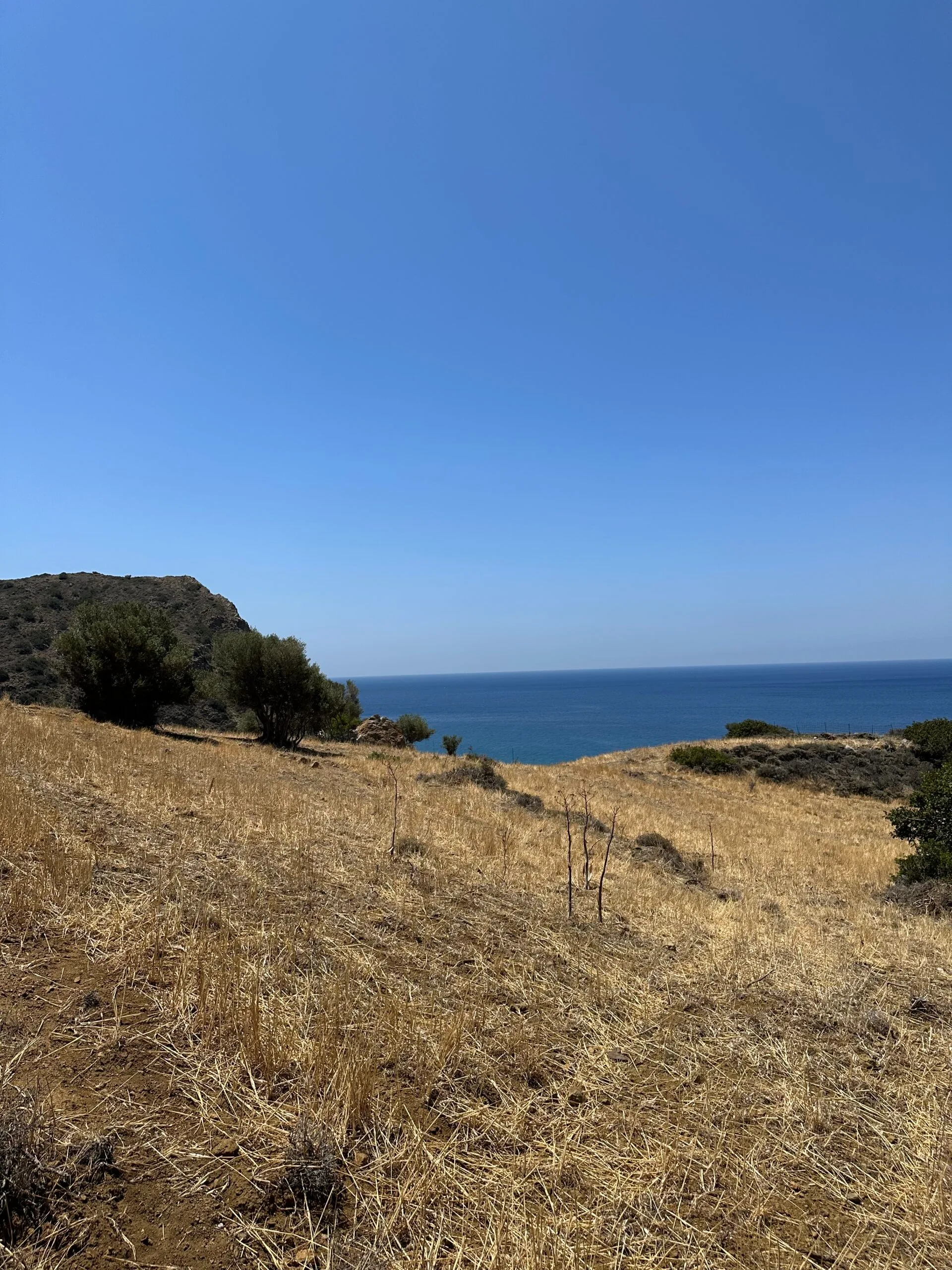 image00002 Land of 5.700 sqm in Triopetra.