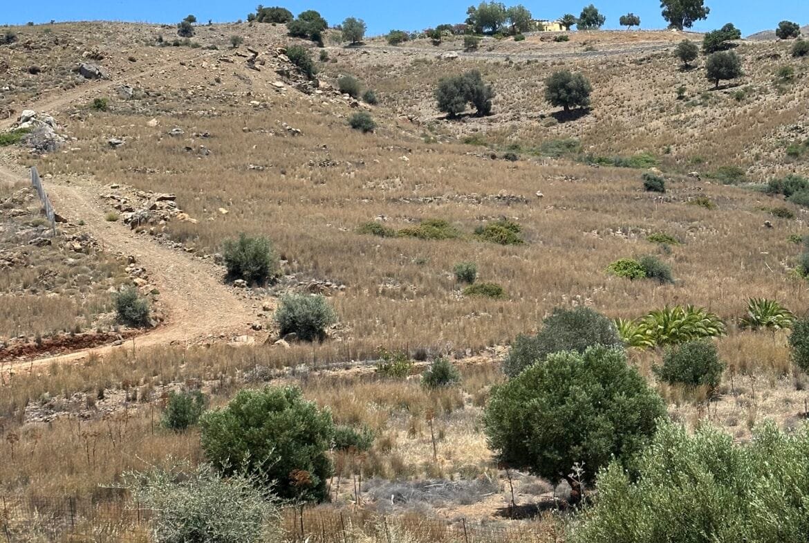 Two plots of land with panoramic views of the sea in Agios Pavlos