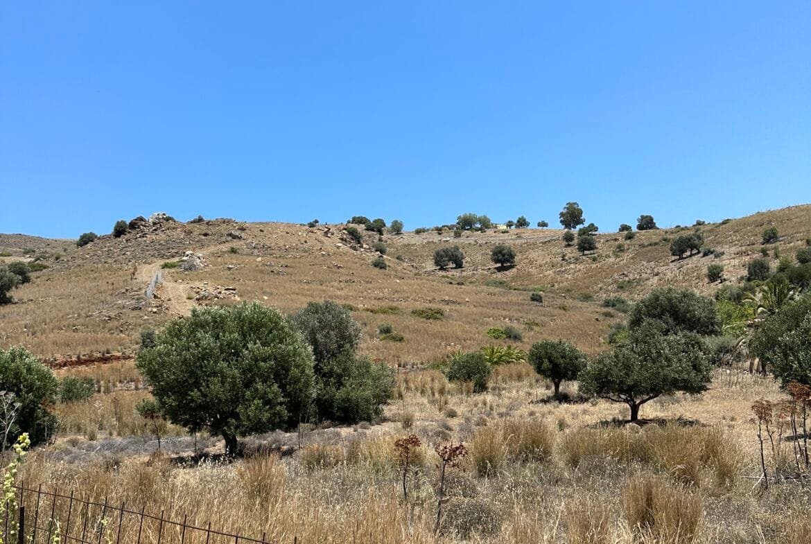 Two plots of land with panoramic views of the sea in Agios Pavlos