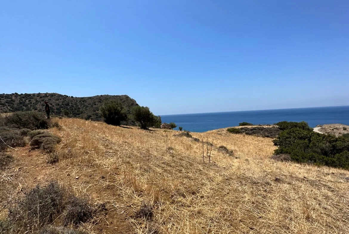 Land of 5.700 sqm in Triopetra.